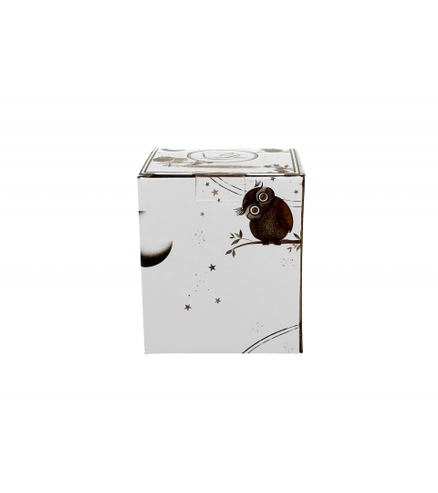 Kubek z zaparzaczem (colorbox) CHARMING OWLS